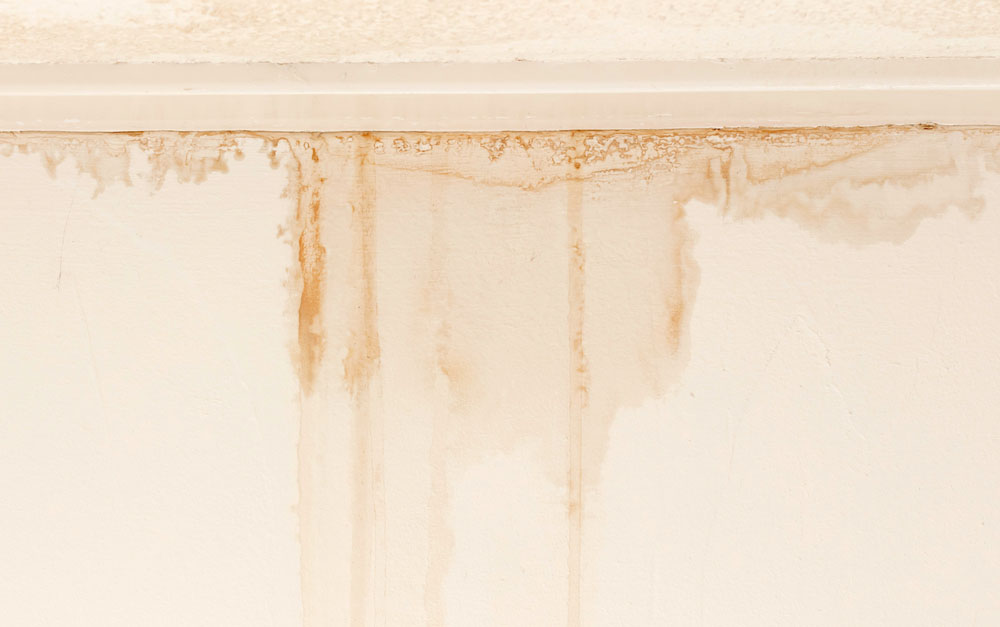 Water-stained walls/floors