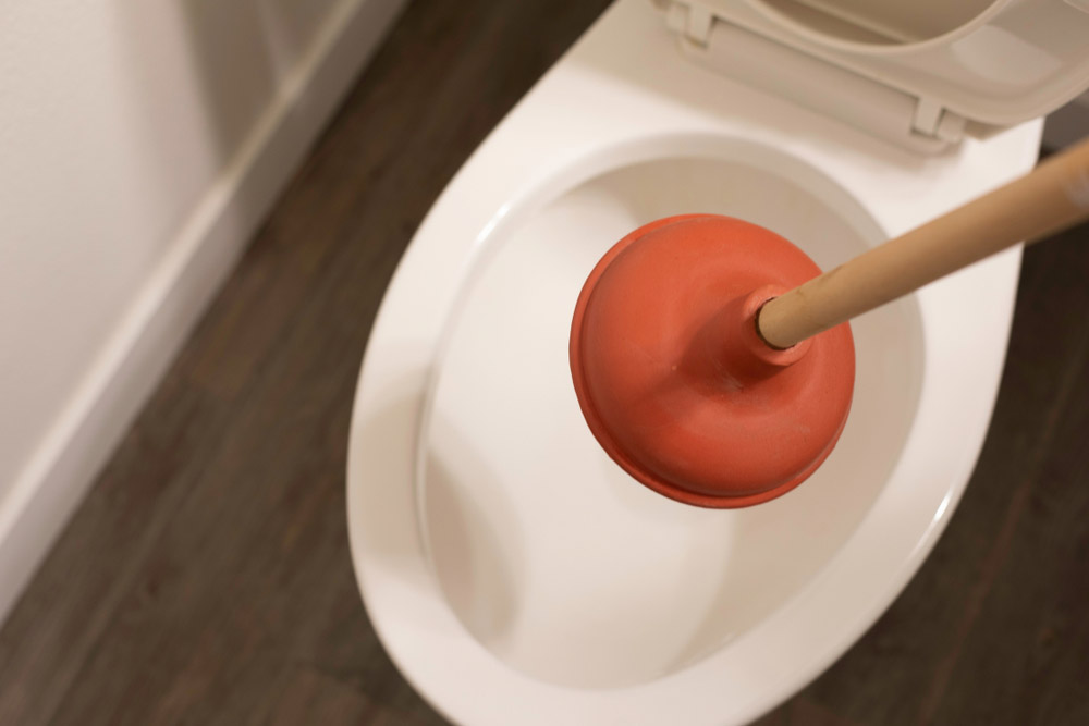 toilet plunger